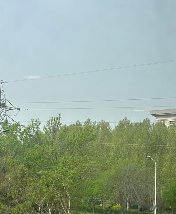 昨晚我们三在回家的路上，前夫打电话给大闺女，问她这两天放假怎么安排？大闺女说