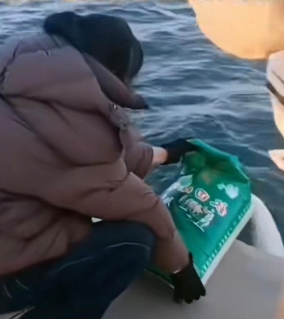 大妈又玩出新花样了！放生蛇、放生猫、放生蝎子……至少这些还算个活物，放了多少还