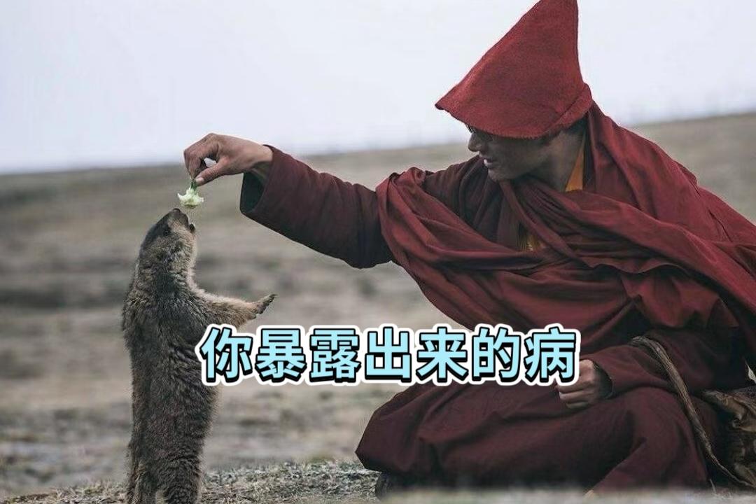 你暴露出来的病1. 夜间盗汗：多由虚火旺盛所致！2. 自汗不止：属太