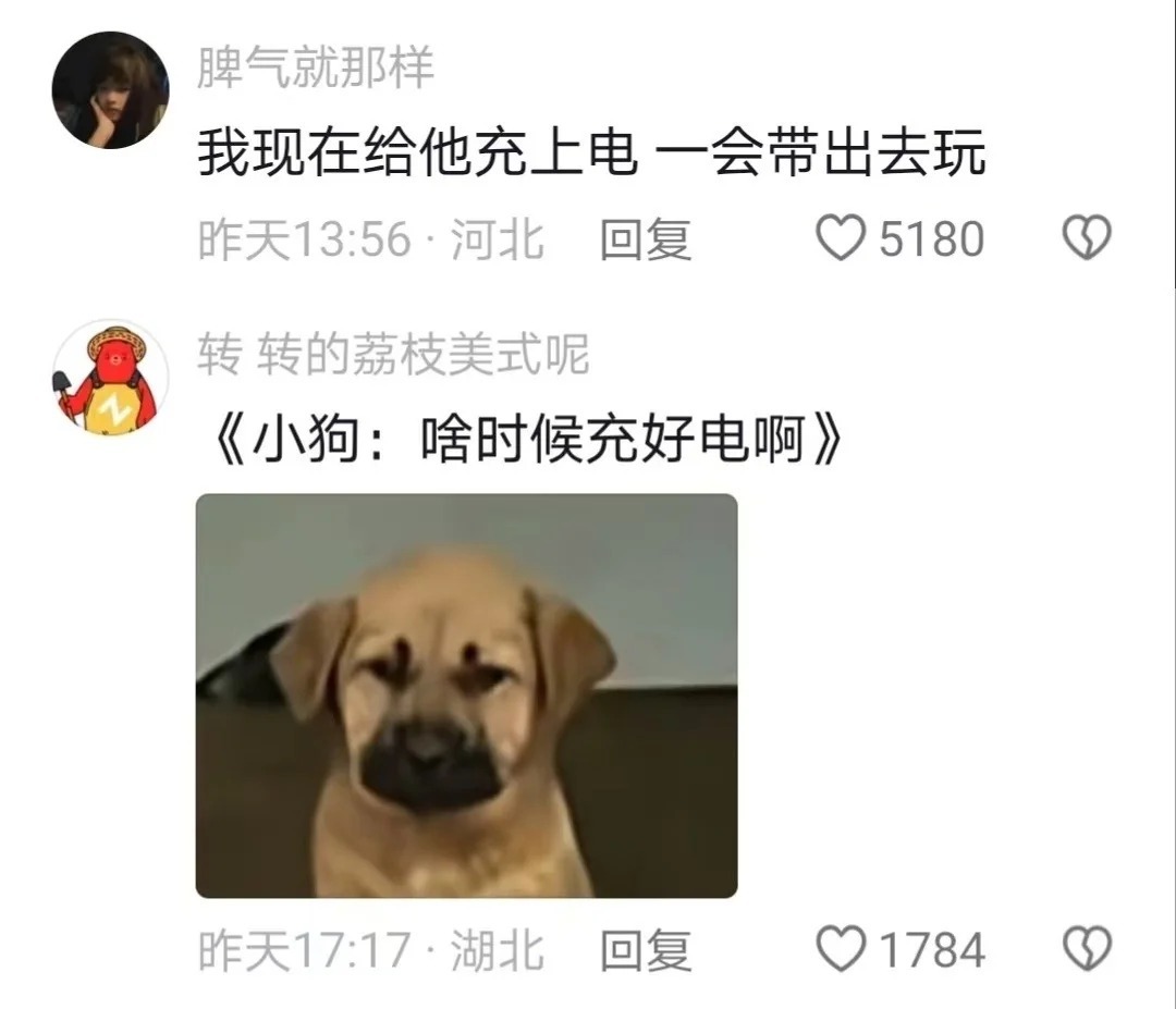 小狗很轻，在爷爷心里却很重