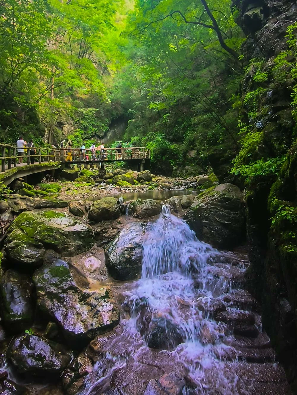 西安出发2h| 免门票🌊戏水纳凉森林秘境！