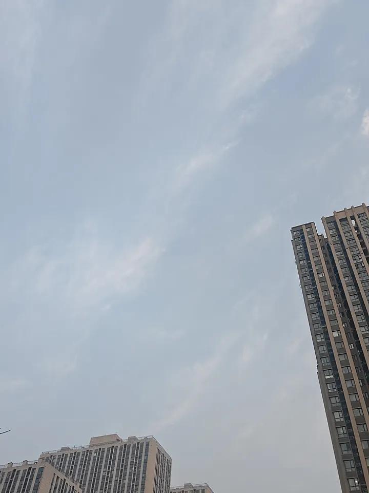 分享我这周有趣的事：有心栽树树不成，无心插柳柳成荫！