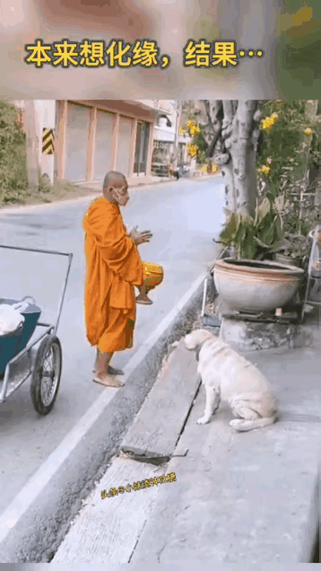 这个和尚挺善良[祈祷]