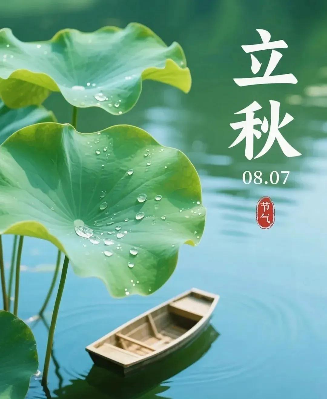 今天就是立秋了以前不懂，老话说“立秋无雨是空秋万物历来一半收”才明白这