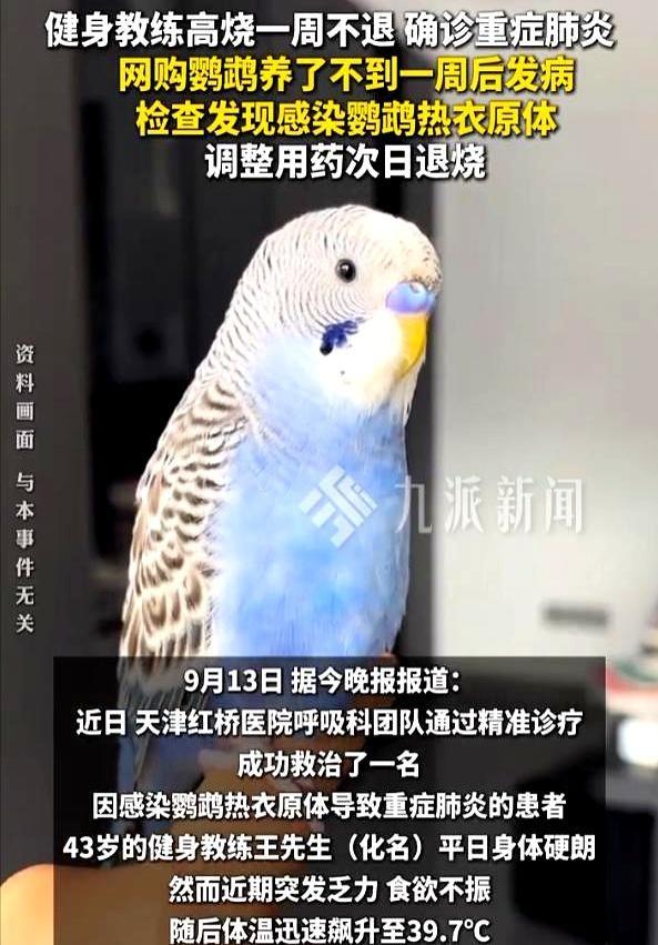 天津一个43岁的健身教练，平时浑身腱子肉，连几百斤杠铃都压不垮，结果网购一只巴掌