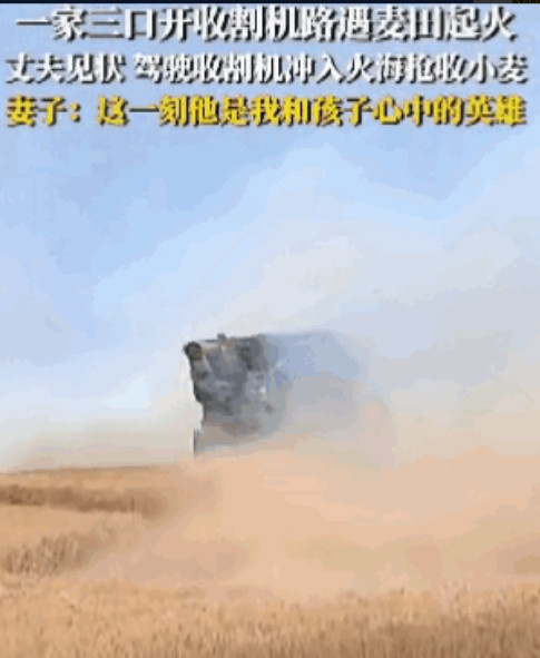 近日，山东菏泽曹县一位普通农民小伙的英勇举动引发全网热议。这位开着收割机的小伙在