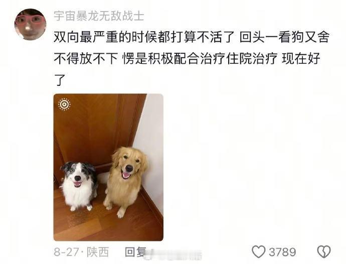 养狗人不语，只是一味的共鸣哈哈哈哈哈哈哈​​​