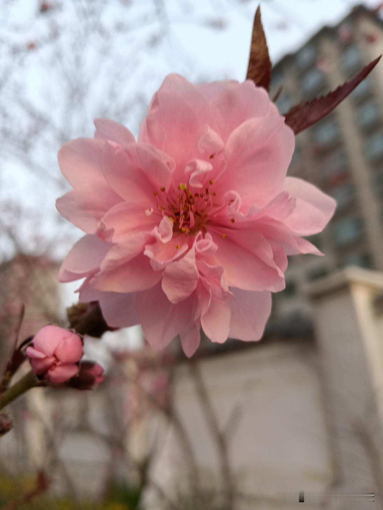 一个人好运开始的标志是：懂得换人。不怕狼一般的对手，就怕猪一样的队友。烂人