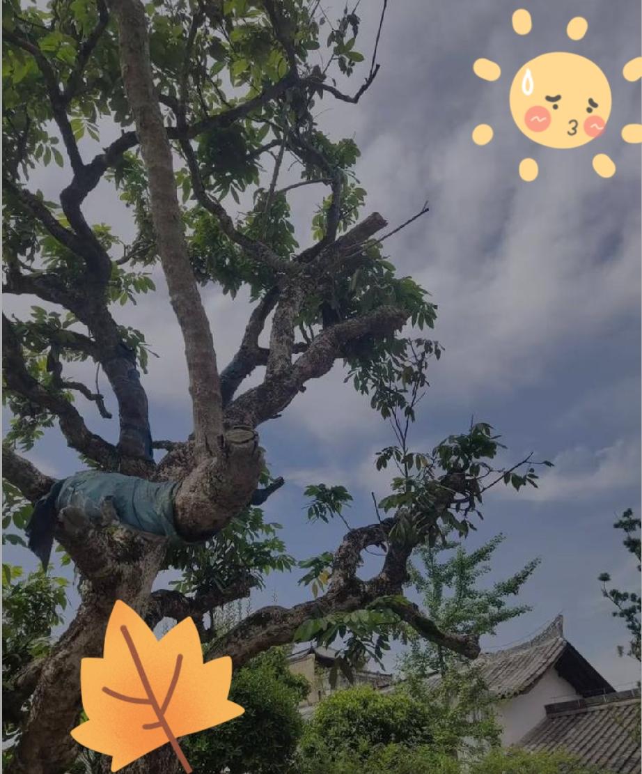 我出生于1973年，退休至今已有三年了。今年是第三次涨退休金了，头一回涨了3%，