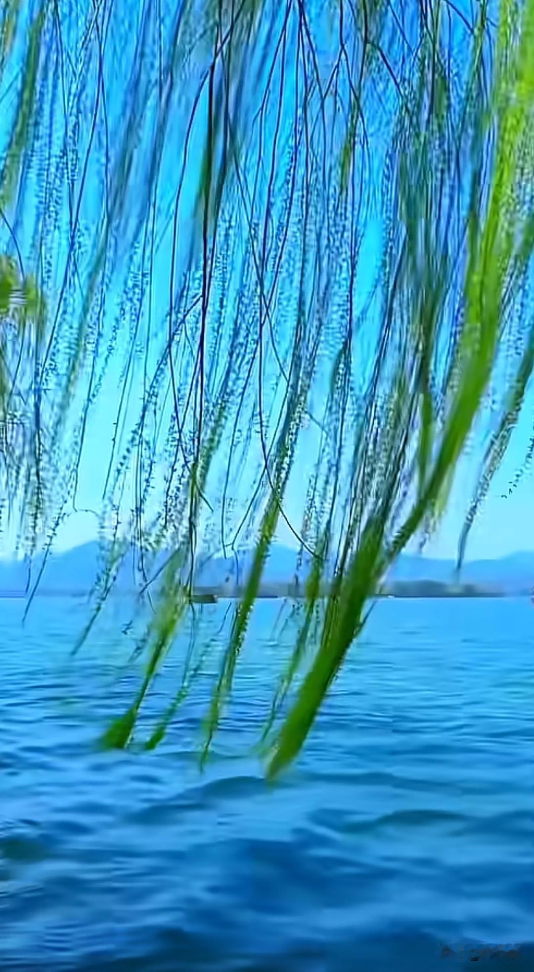 七律·望着天空纤云揉絮接青苍，岸柳牵风递浅凉。归鸿影没枫梢外，清露痕凝菊