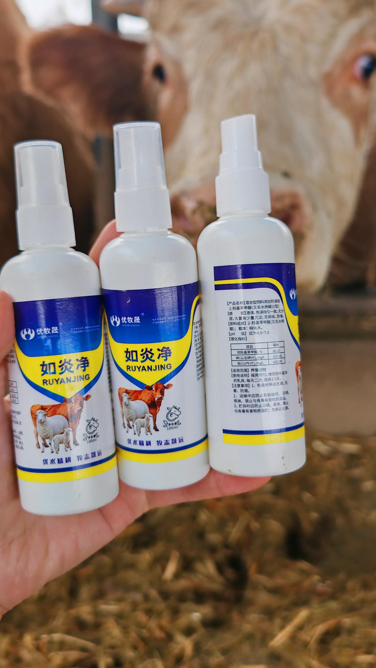 养羊人农村养羊牛羊养殖