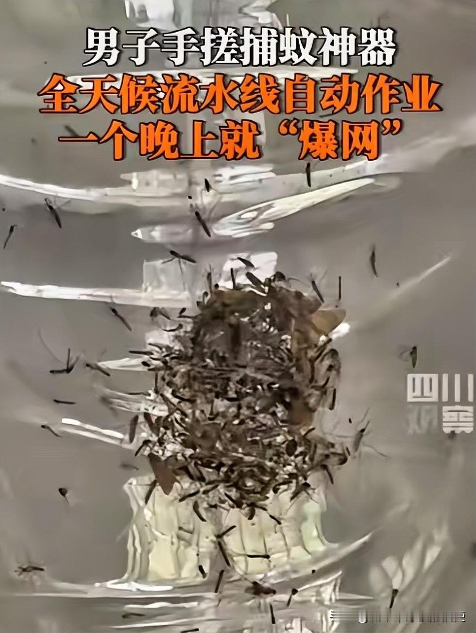 ”福建，一男子被村里的蚊子叮的不胜其烦，于是灵机一动，靠着风扇加紫光灯，自制一个