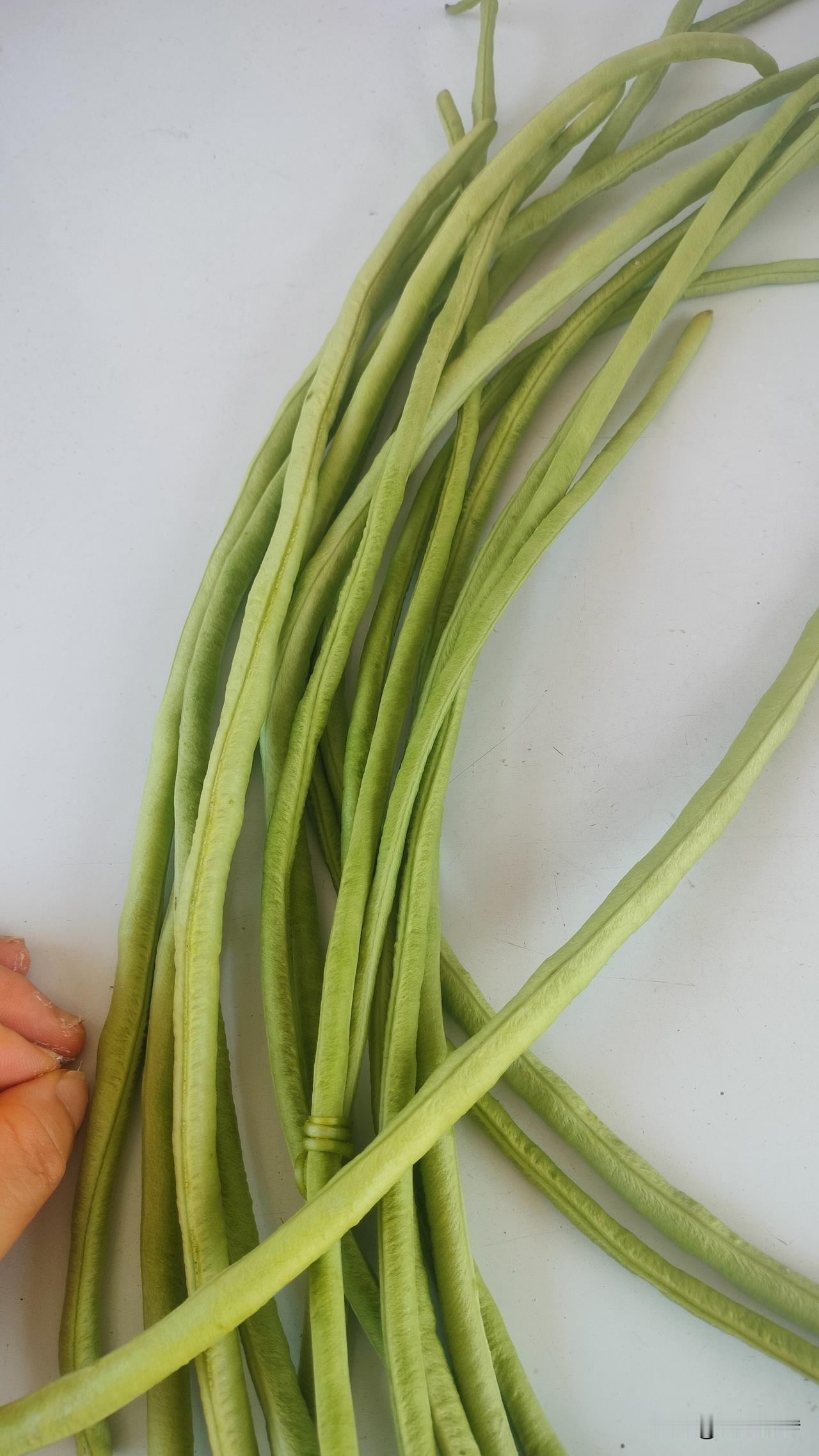 豆角太直溜没虫眼，就一定是打过药的吗？这肯定是个误区。我家菜地的头茬豆角没打药，