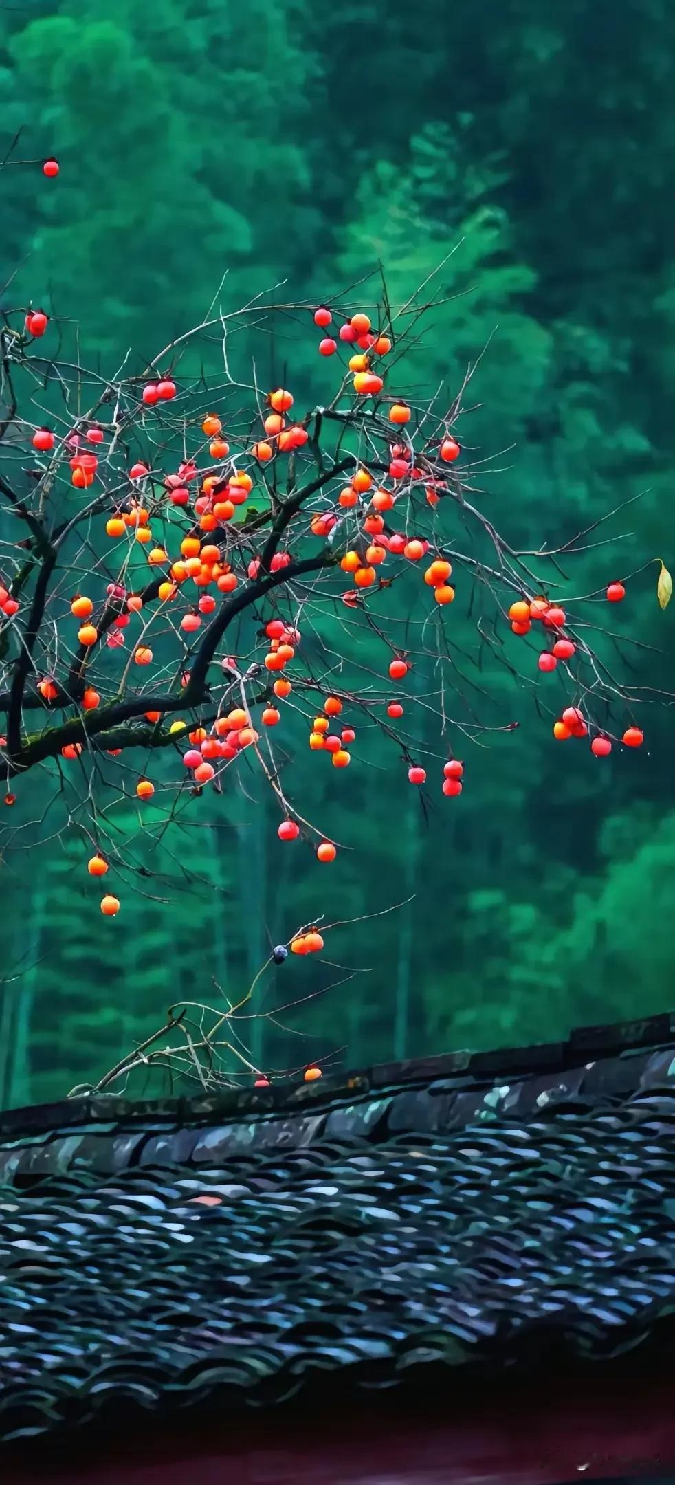 提醒大家，明天是个重要的日子：明天，4月20日，是24节气之一—谷雨，今年谷