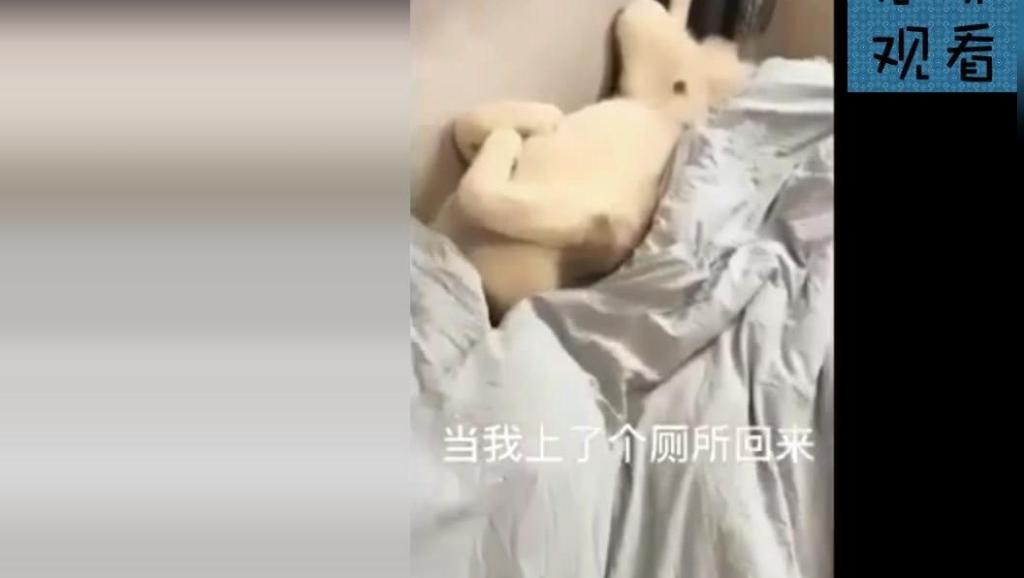 16216494885011133029.jpg?id=0