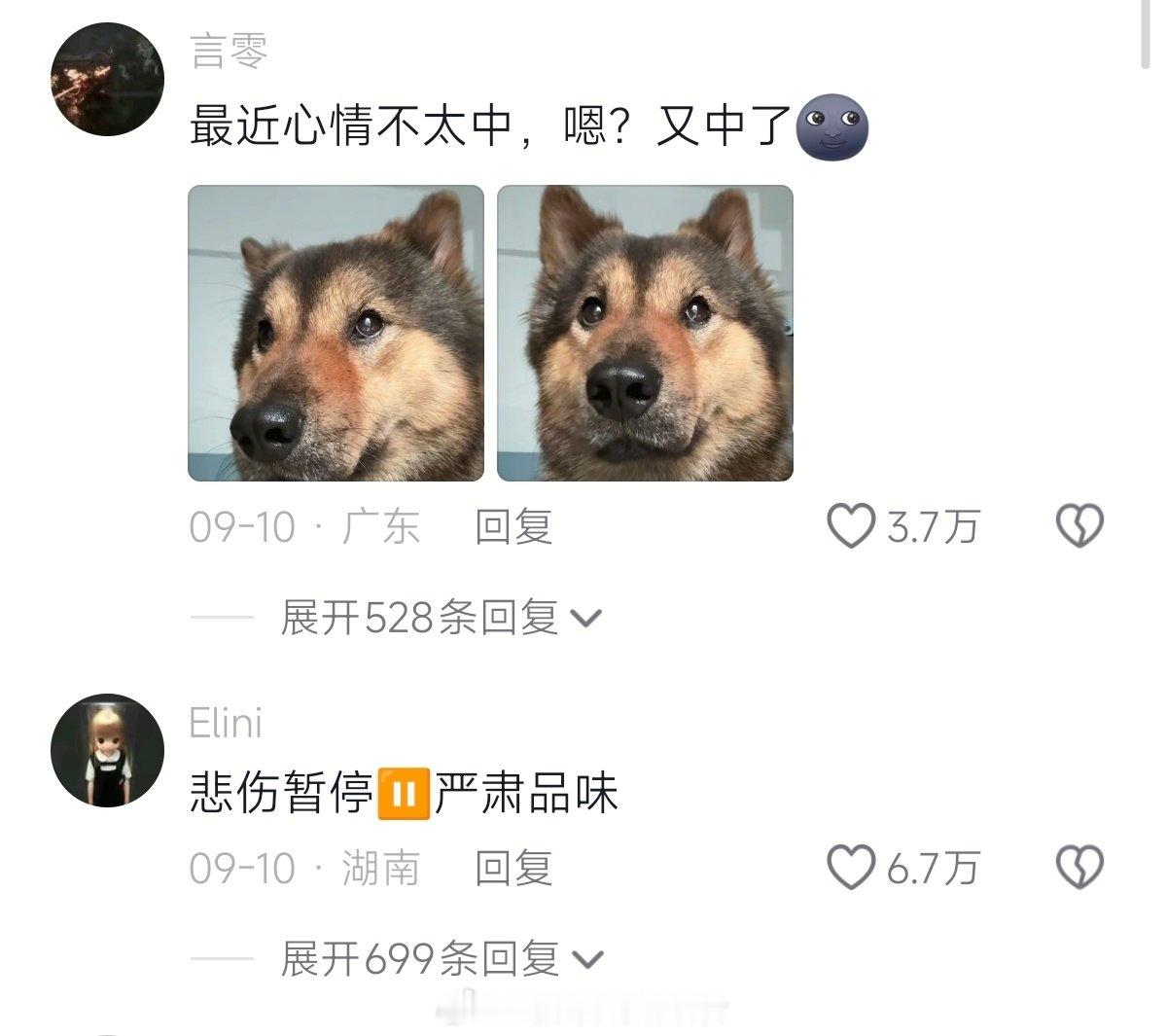 当闷闷不乐的小狗闻到肉香味~​（​​​