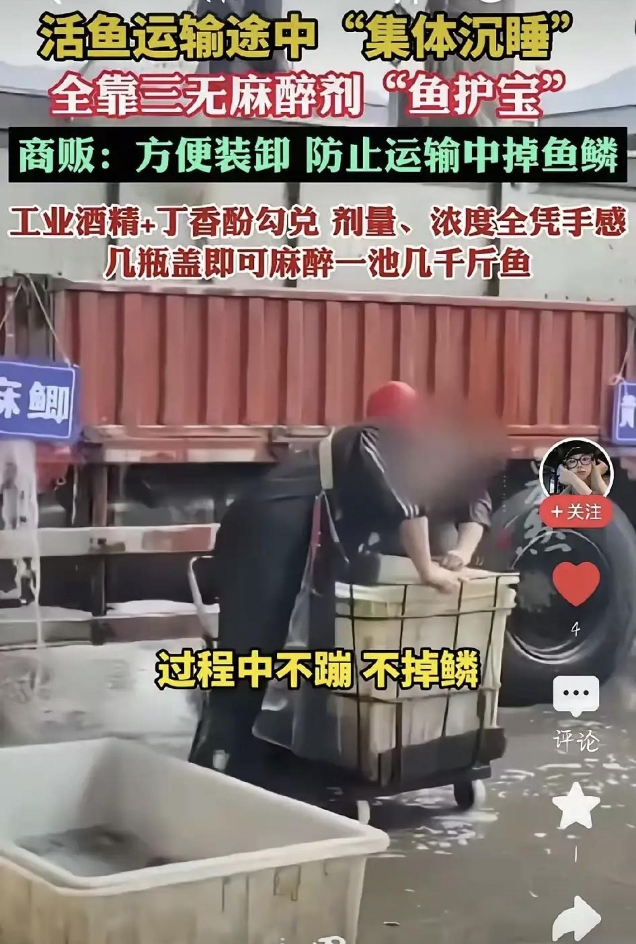 吃鱼的朋友看完真的要气炸，这哪是买鲜鱼，简直是往家带健康隐患！多地水产商贩往