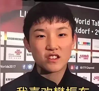 林诗栋为什么最怕张本智和？因为他们都是樊振东的迷弟，都属于反手体系的选手！而