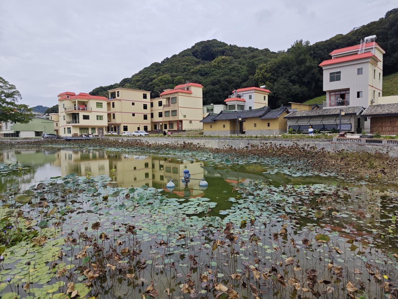 这是广东省山区最典型的乡村田园风光，村子里面一定有祠堂，祠堂前面一定有池塘，池塘
