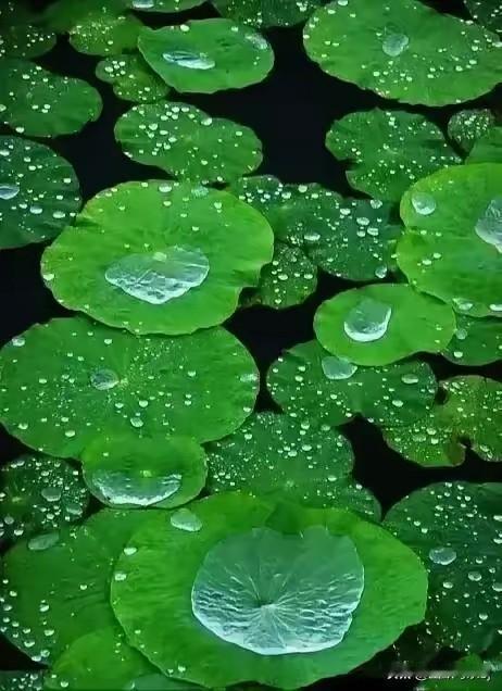 分享你相册里最喜欢的壁纸