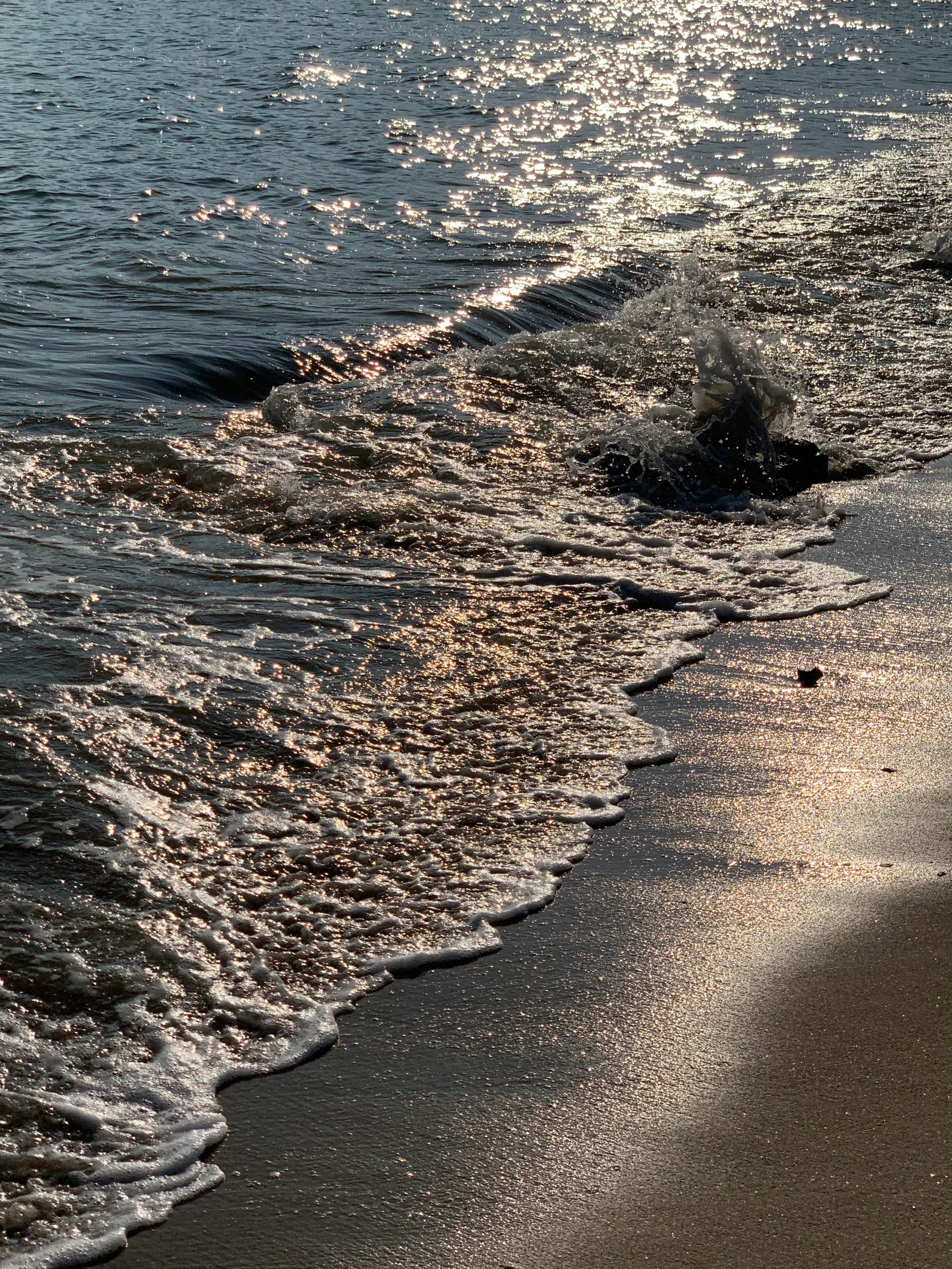 海浪涌着光走✨​​​