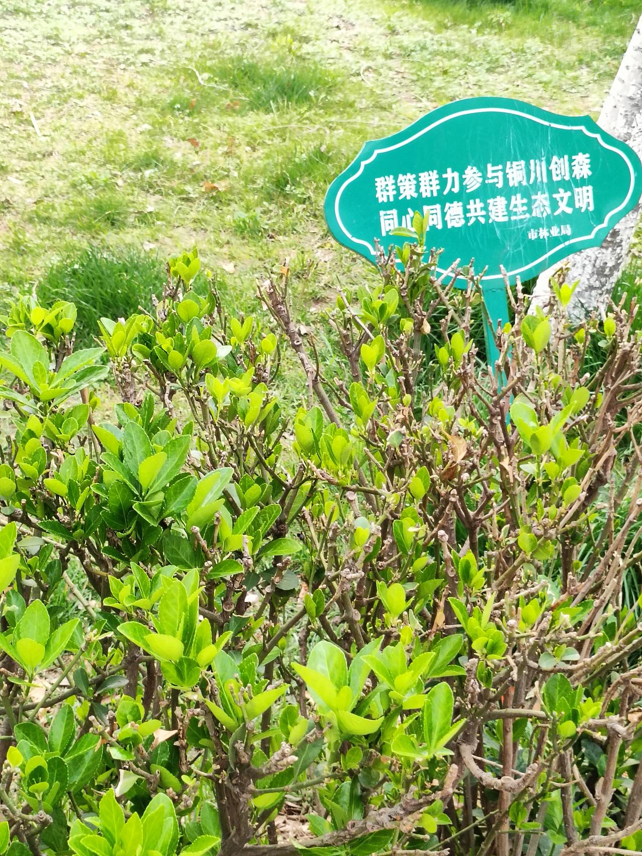 心若放宽，时时皆是春天；事若看淡，处处皆是晴天人这一辈子，说白了就是活个心