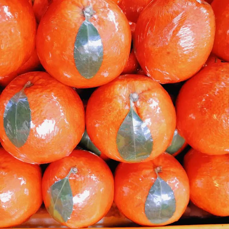 饭后30分钟-1小时部分观点认为饭后30分钟至1小时吃水果较为合适。饭后