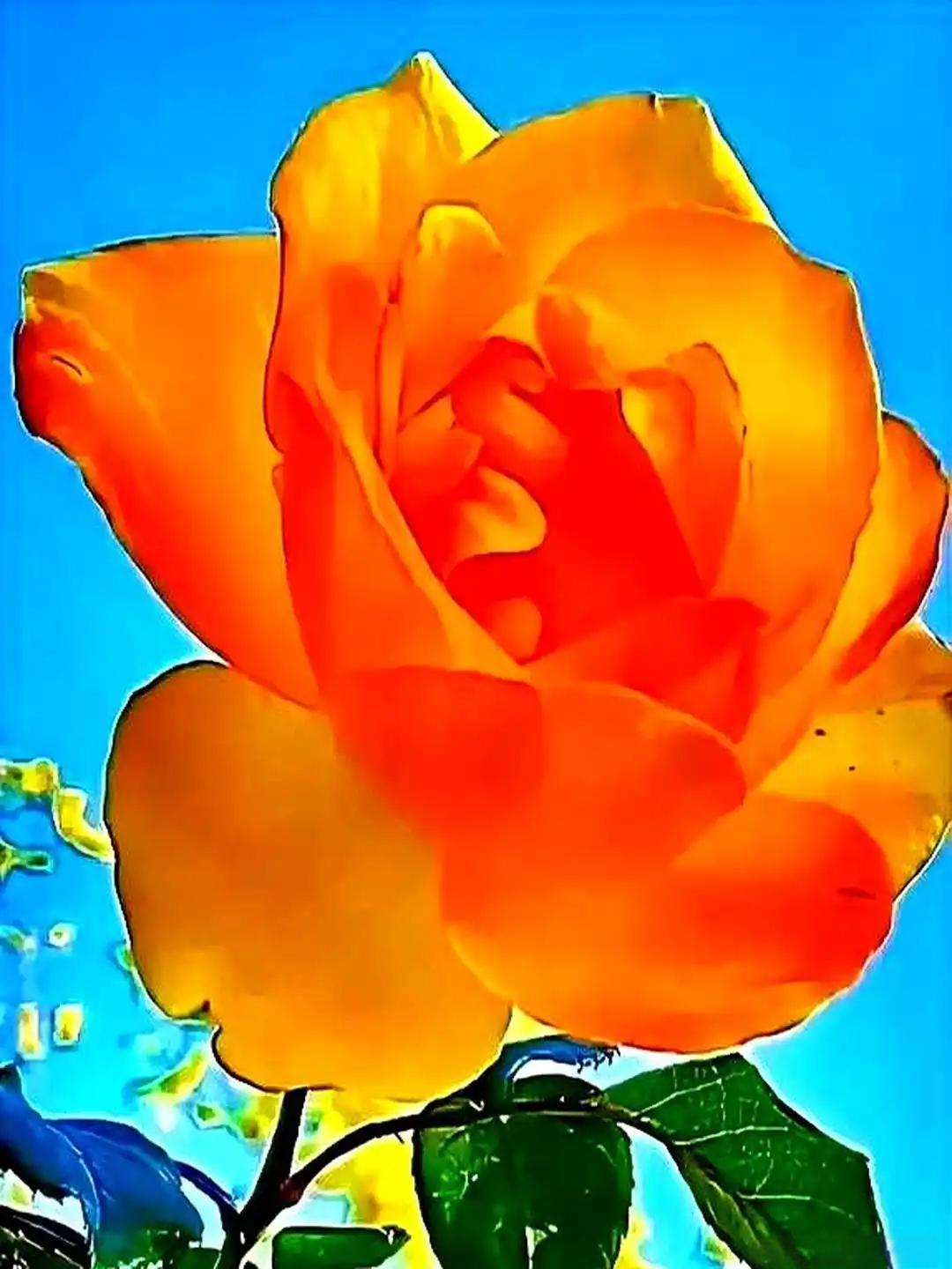 一个按摩店的阿姨说，她不怕客人占便宜。她说自己三十多岁了，长相普通，脸上也有皱纹