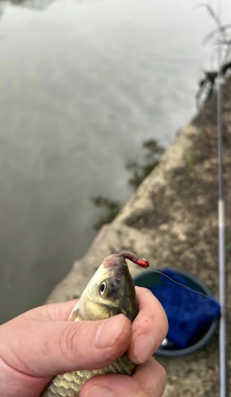 不让老公去钓鱼，老公居然要和我离婚！一大早老公拿个鱼竿提个桶就要走，我问他干嘛