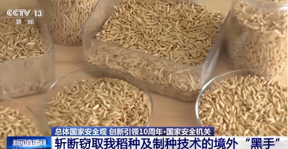 “应该立即死刑！”央视新闻在4月14日曝光了一起惊天大案：我国杂交水稻之父袁隆平