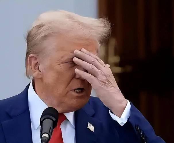 道法自然从不是简单的善恶报应。天不怕地不怕的美国总统，这回栽了！治他的不是别人