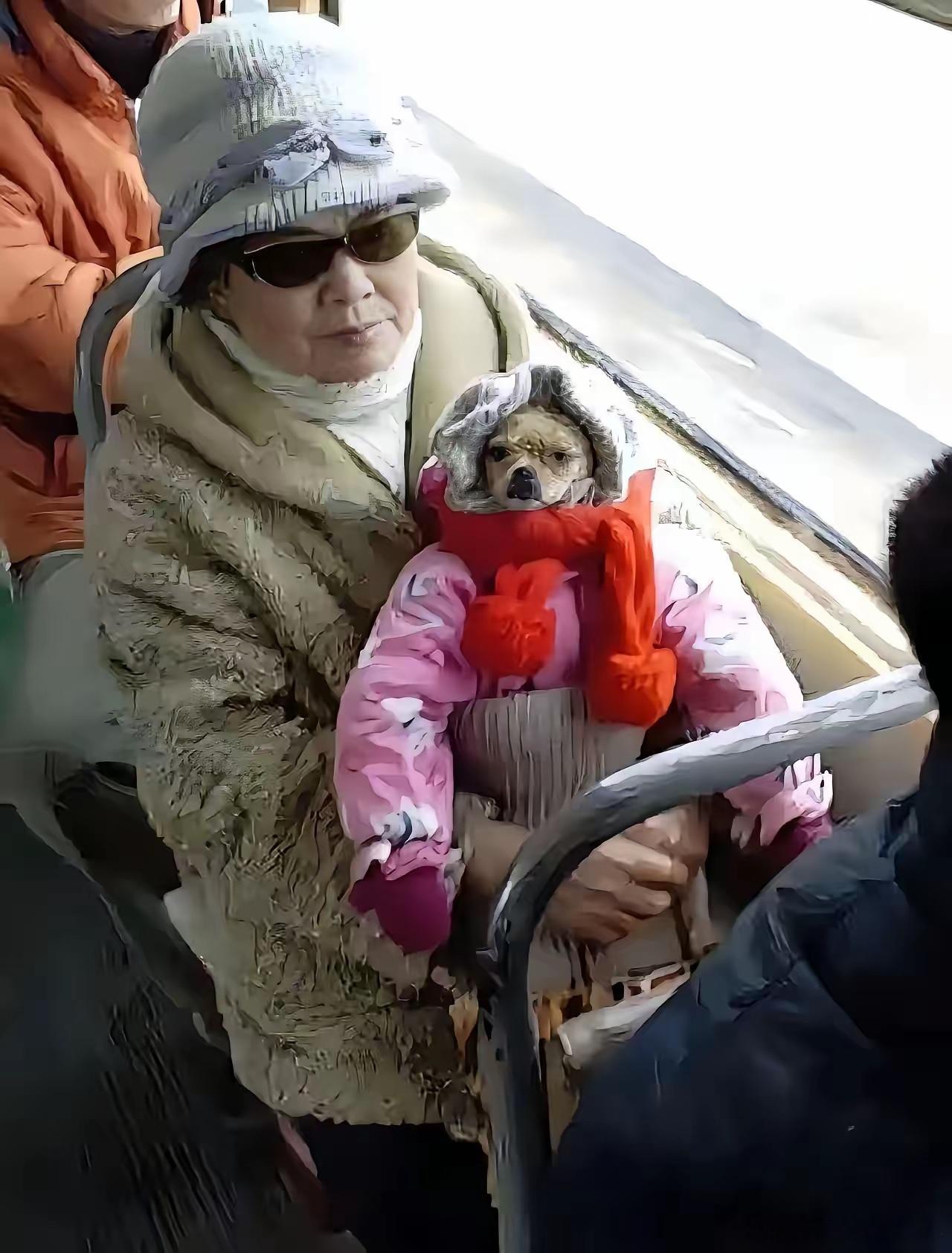这位老奶奶实在是太厉害了，因为公交车上不让带宠物，于是她灵机一动，把自己的小狗打