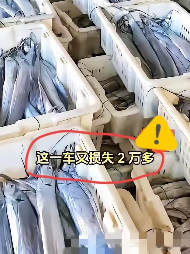 今年中秋节，资本怕是要集体“破防”了！年轻人这波操作，直接把传统消费套路按在