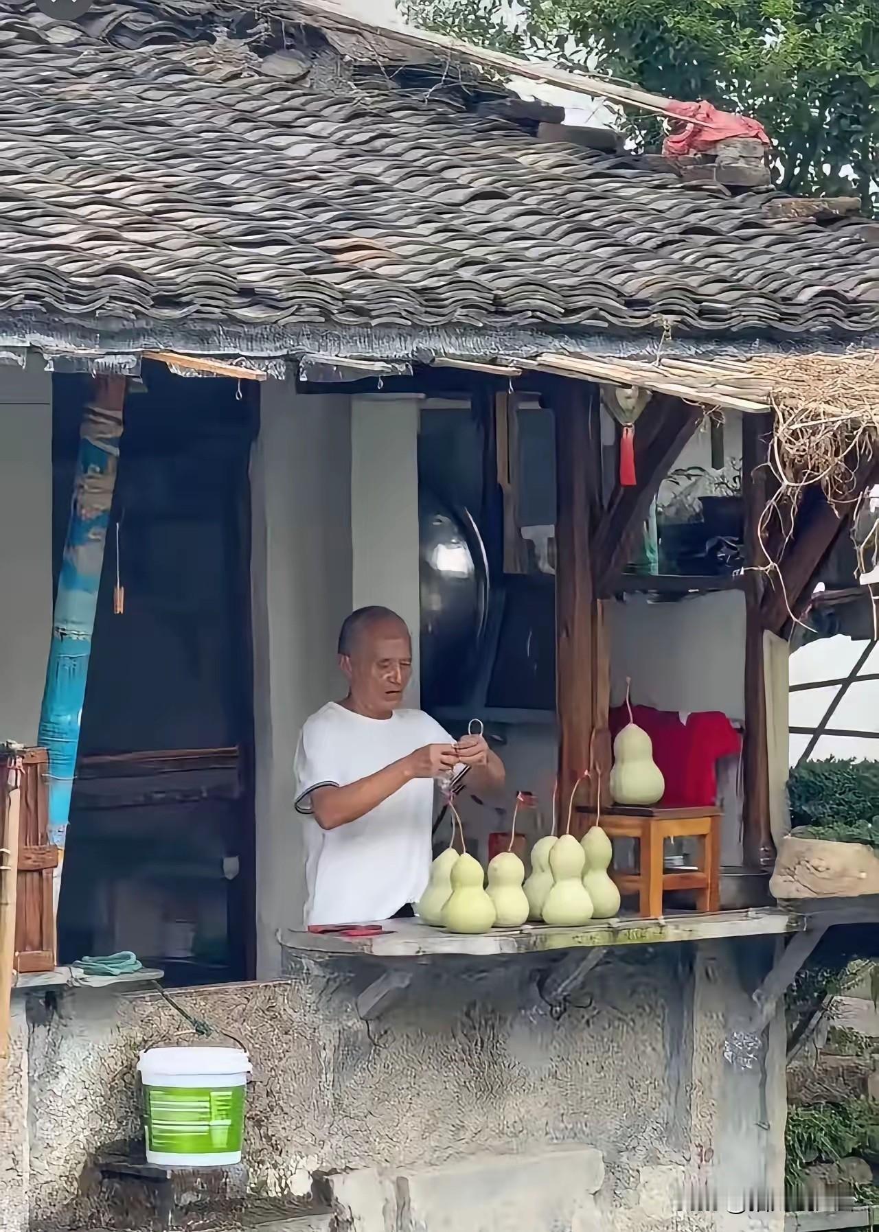 绍兴爷爷又把葫芦挂出来了，原因是他不忍心看到许多人空跑一趟，还是决定挂出来给大家