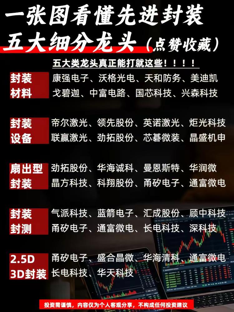一张图看懂先进封装五大细分龙头。科技行业龙头半导体芯片半导体存储芯片主流热