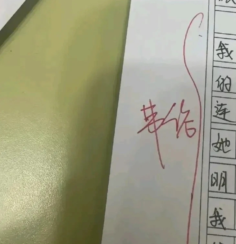 湖北，一名女子接儿子放学回家，到家后，儿子拿出自己的作文给女子看，说是作文被老师