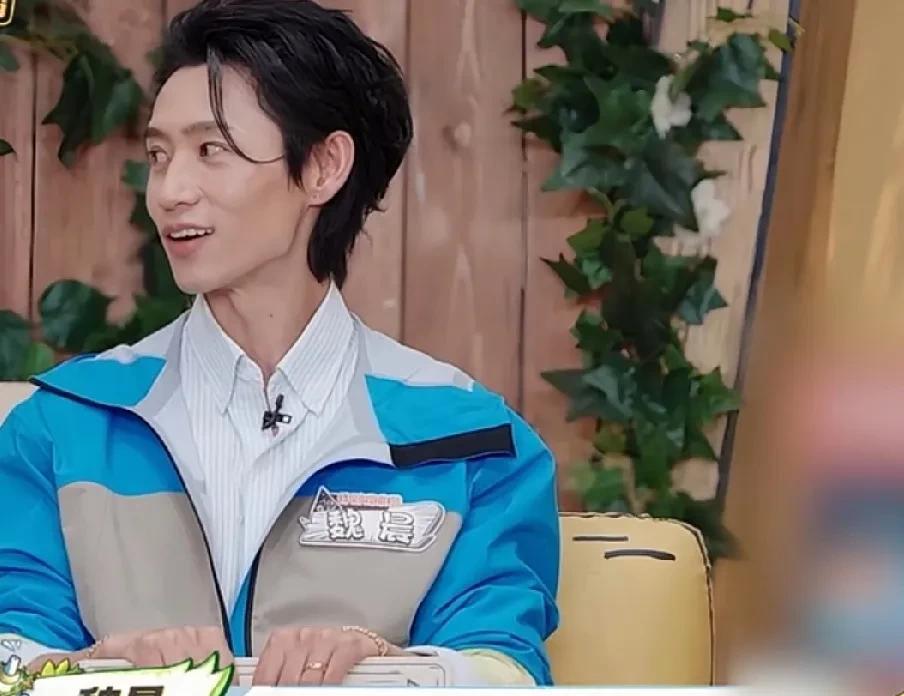 #魏晨#魏晨孩子满地爬的时候，懂得应采儿话的含金量。魏晨：“前几季你们不是说