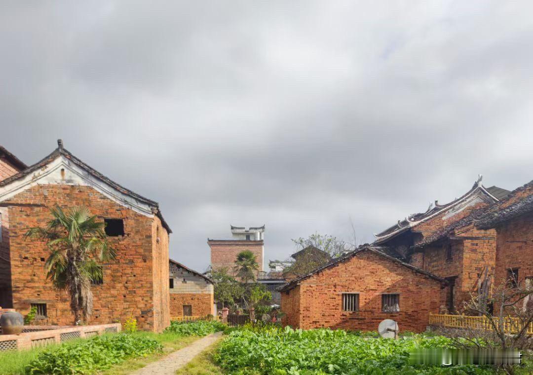 这种家庭真不该娶媳妇，一份彩礼娶两个老婆。一男子，31岁了，和老婆结婚半年，现在