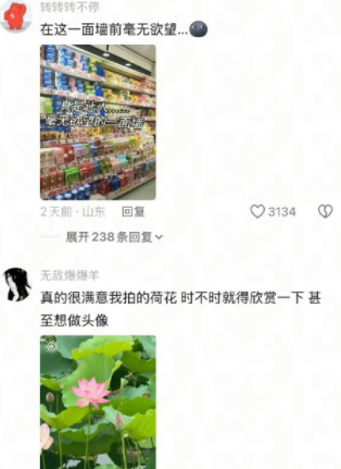 在这一面墙前毫无欲望