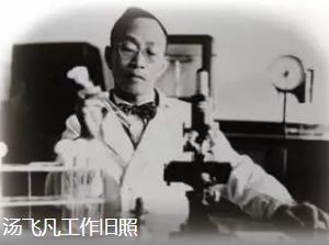 1941年，青霉素是西方绝不外传的秘密，中国军民伤口溃烂，只能硬扛，关键时刻，汤