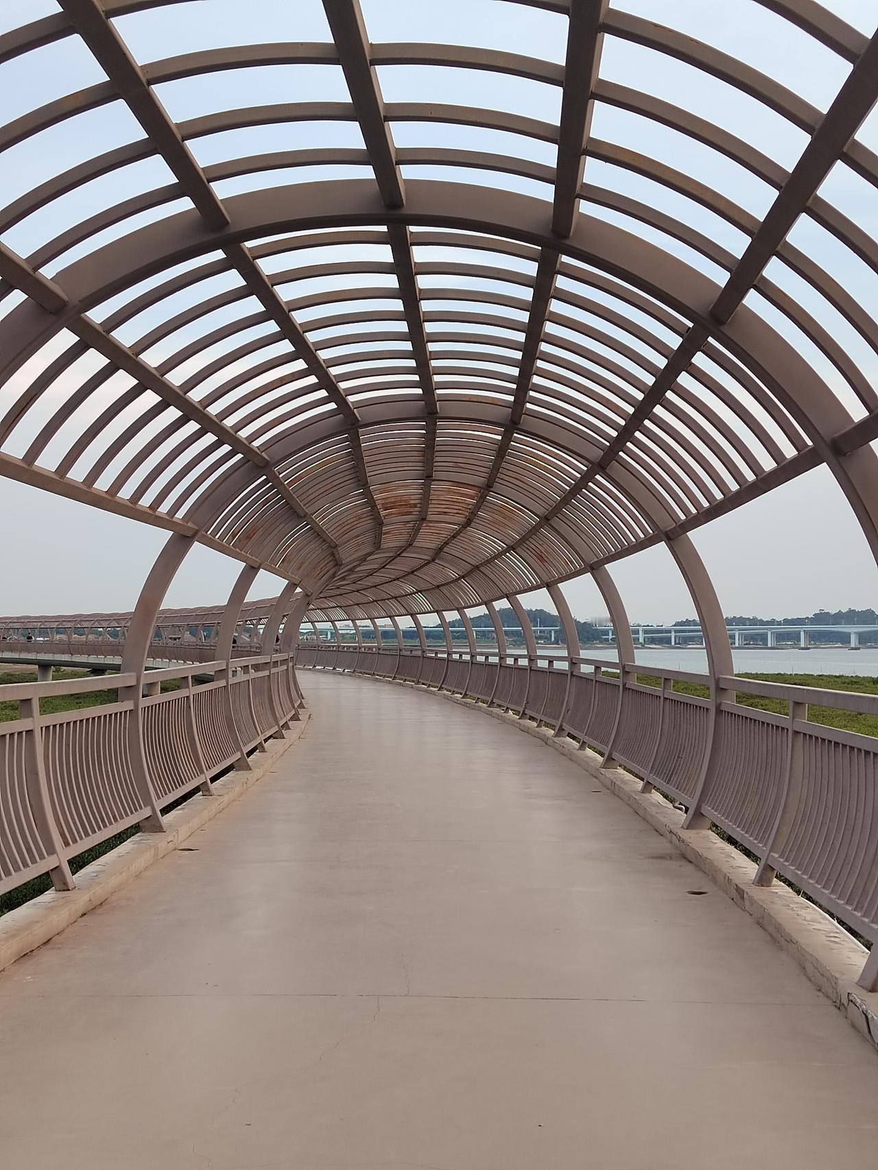 职场中不要去讨好任何人，除了自己。因为你的卑微，换不来别人对你的任何好，只会变