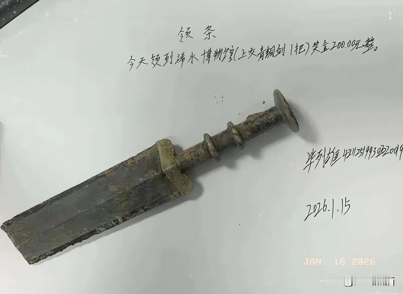 湖北男子挖到疑似战国青铜剑，并且上交博物院这是正确的，但是评论区充斥着不同的声音