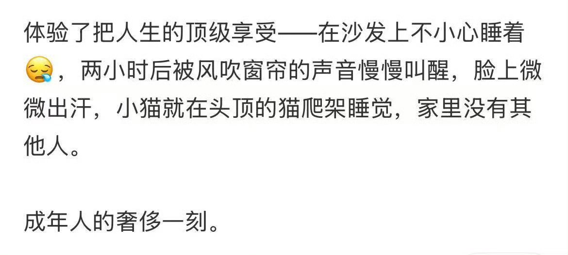 成年人的顶奢是在沙发醒来的那一刻