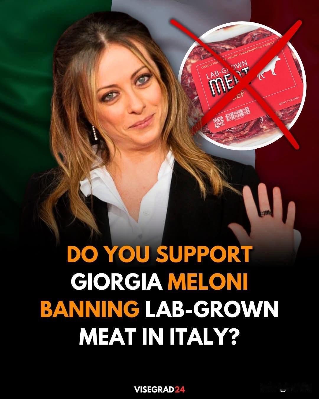 2023年11月，意大利议会正式通过法案，禁止在意大利国内生产、销售、进口培植肉