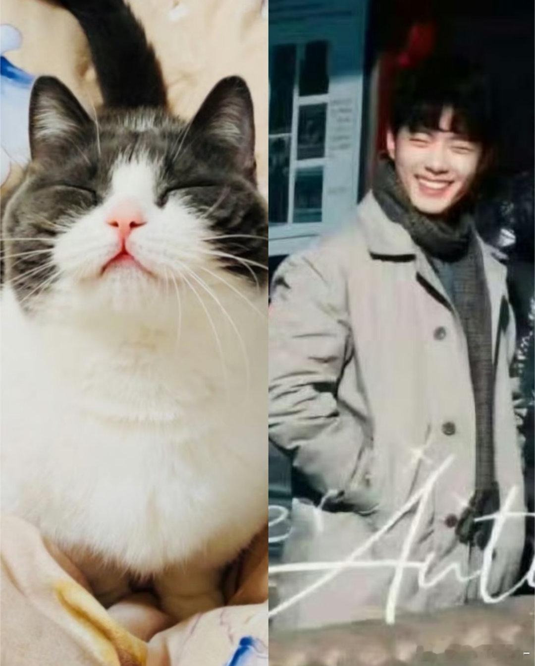 肖战完全就是一只可爱的小猫咪呀🥰