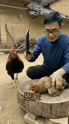万物皆有灵！这只公鸡堪称“护妻狂魔”，看完太好哭了😭真的被一只鸡狠狠感动