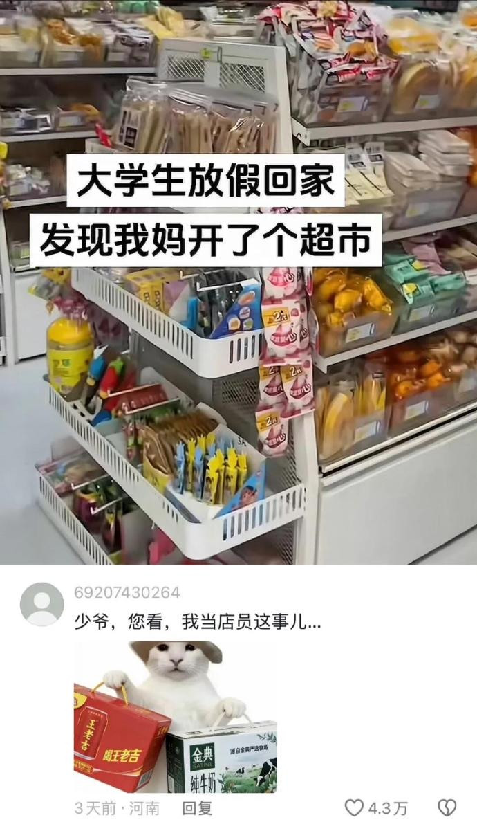 《现实版老鼠掉入米缸》