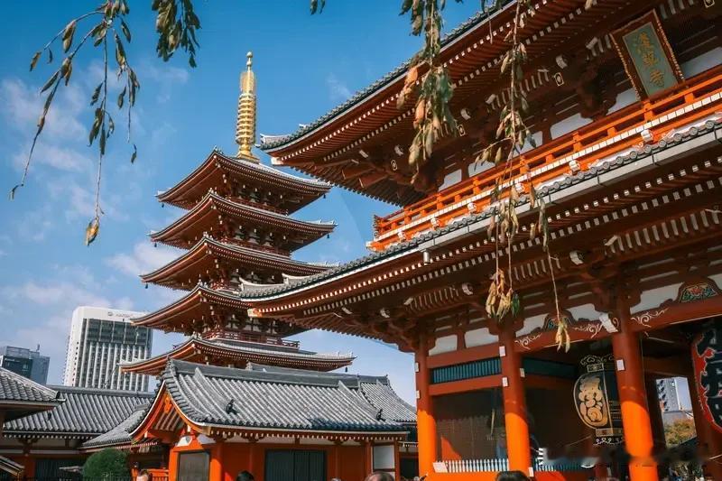 国人喜欢去日本旅游，原因还挺多。地理位置是一大优势，日本和中国邻近，从中东部出发