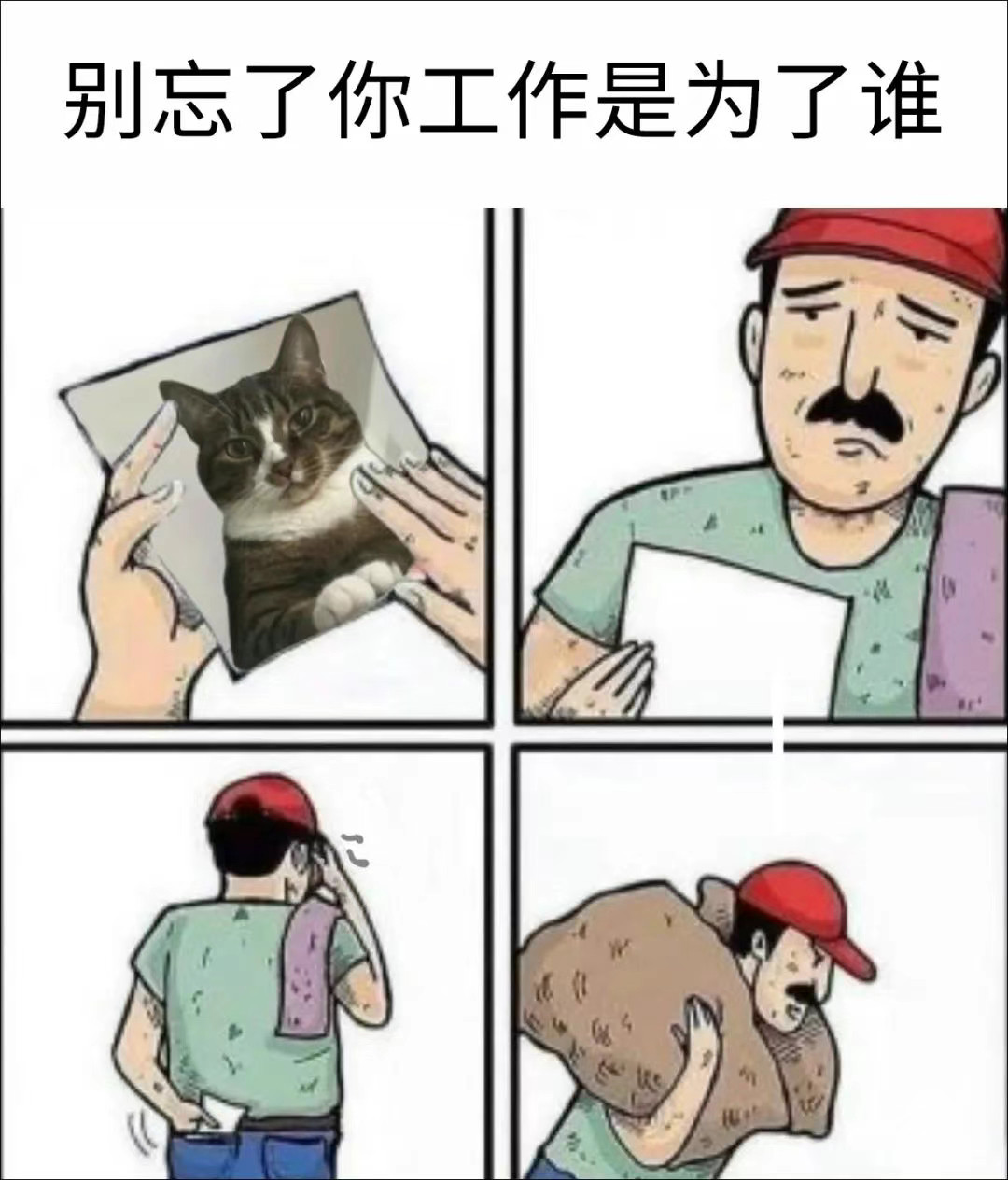 猫奴​​​