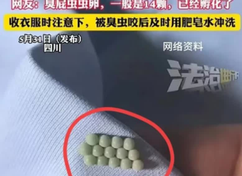 “太恶心了！”5月31日四川，一女子起床穿内衣，结果，却总感觉扣不舒服，她将内衣